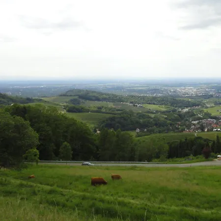 Holiday home Burgblick Lauf